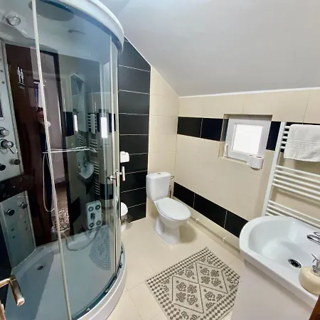Pensiunea Suci Guest house 2*
