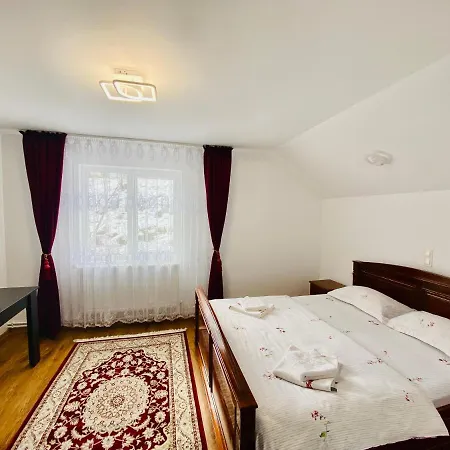 Guest house Pensiunea Suci