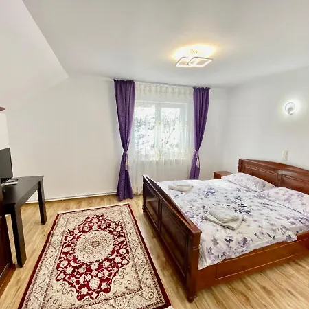 Guest house Pensiunea Suci 2*