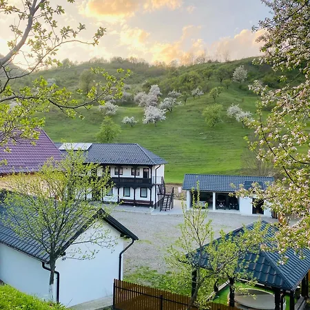 Gasthof Pensiunea Suci Botiza